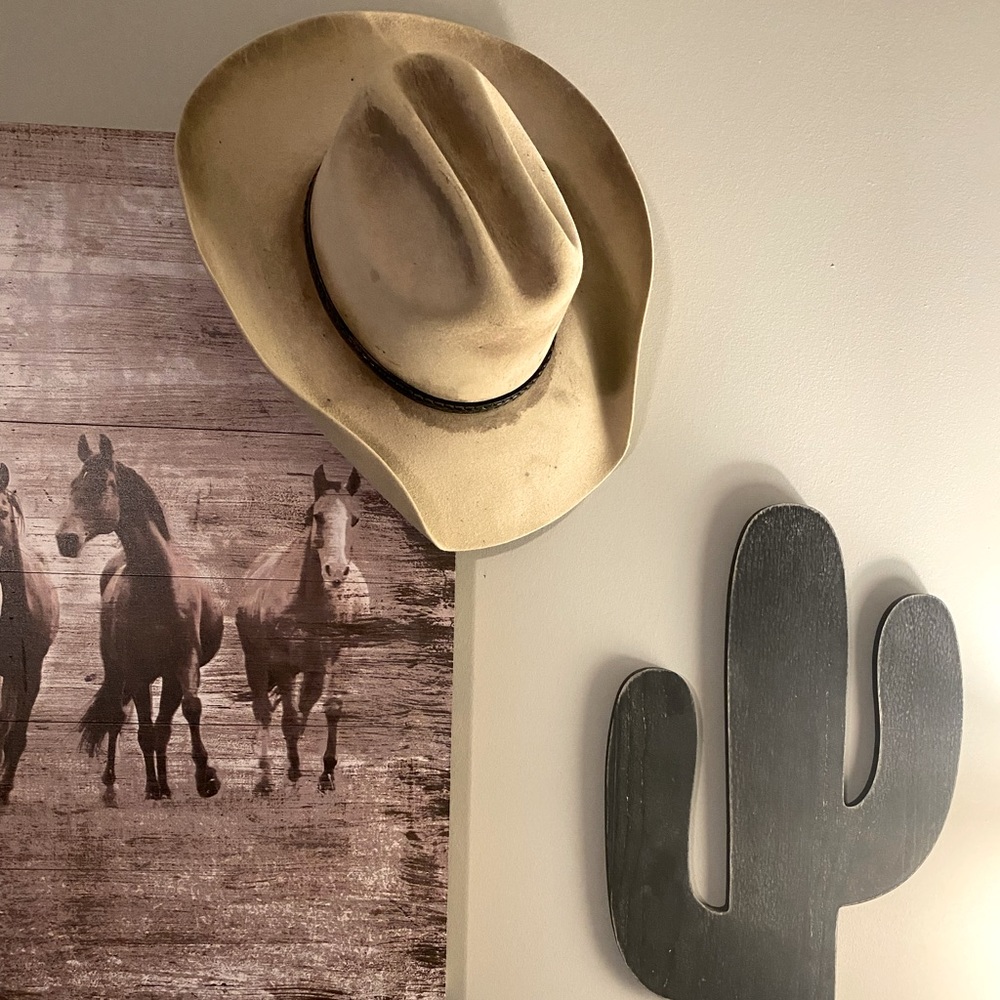 Cowboy cool old school Stetson.